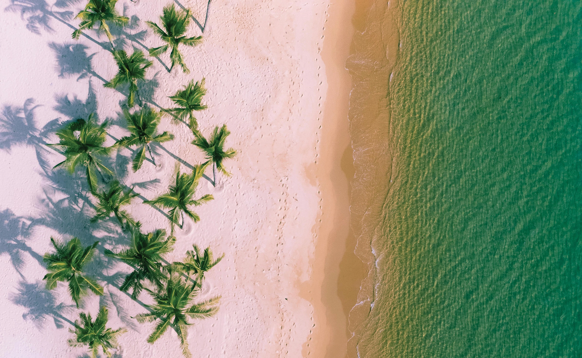 An aerial of ocean, sand and palm trees.